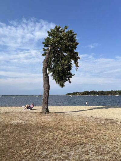 Theodore Roosevelt Memorial Park Beach - Oyster Bay, NY