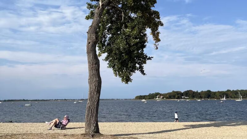 Theodore Roosevelt Memorial Park Beach - Oyster Bay, NY