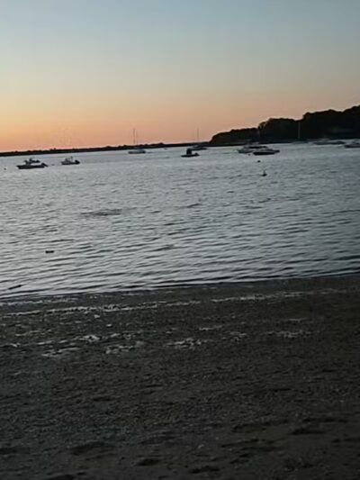 Theodore Roosevelt Memorial Park Beach - Oyster Bay, NY