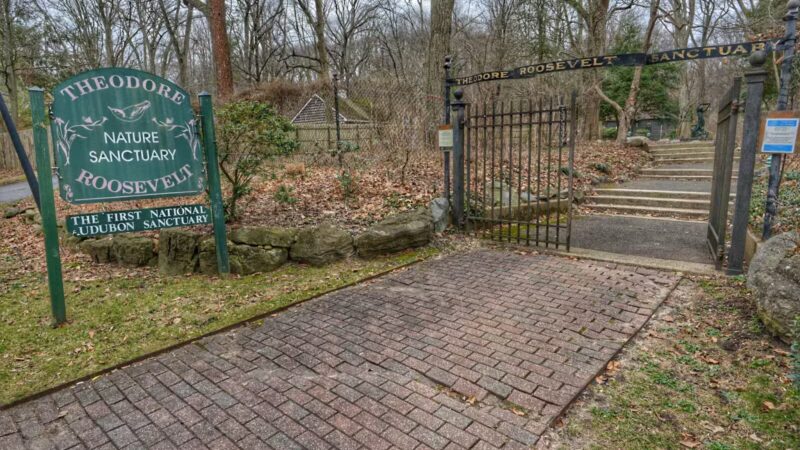 Theodore Roosevelt Sanctuary - Oyster Bay, NY
