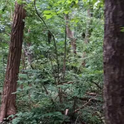 Theodore Roosevelt Sanctuary - Oyster Bay, NY