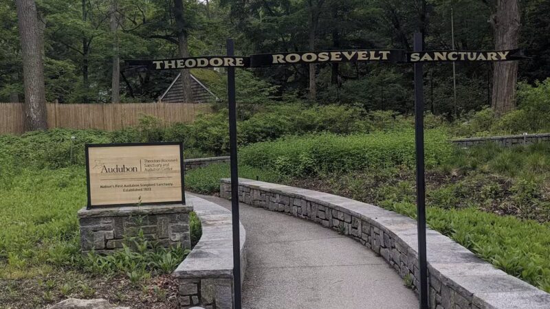 Theodore Roosevelt Sanctuary - Oyster Bay, NY