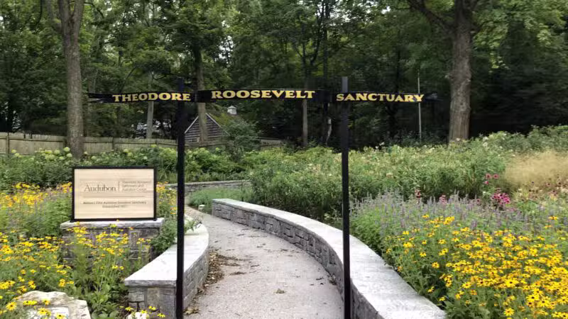 Theodore Roosevelt Sanctuary - Oyster Bay, NY