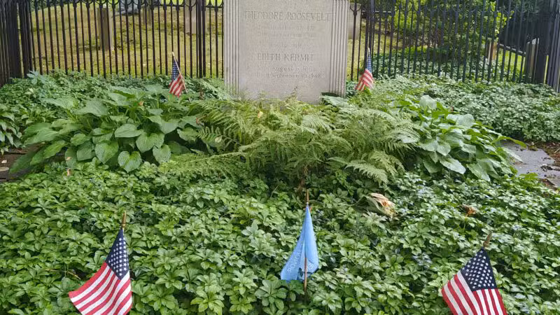 Theodore Roosevelt Sanctuary - Oyster Bay, NY