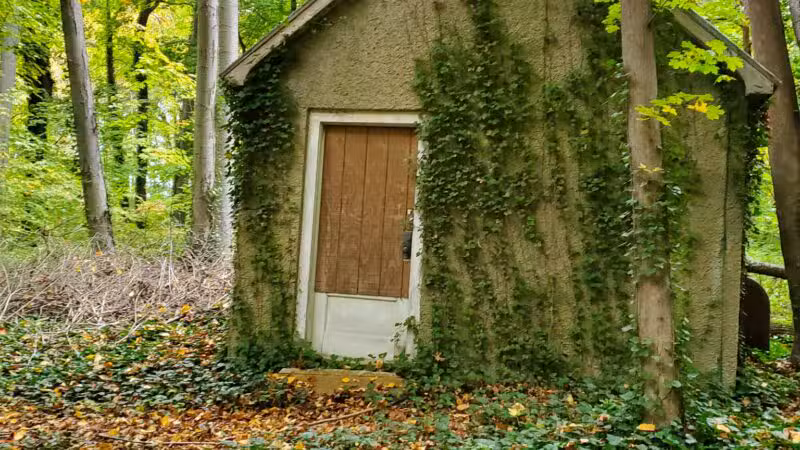 Tiffany Creek Preserve - Oyster Bay, NY