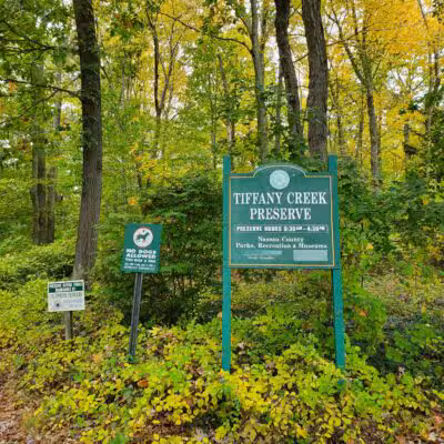 Tiffany Creek Preserve - Oyster Bay, NY