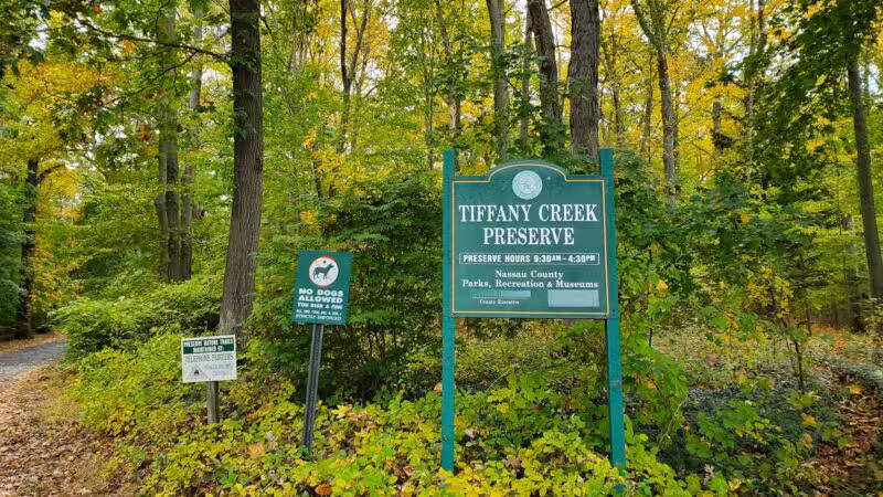 Tiffany Creek Preserve - Oyster Bay, NY