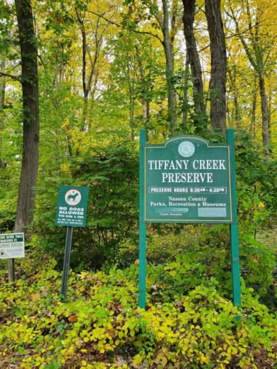 Tiffany Creek Preserve - Oyster Bay, NY