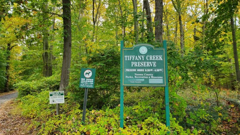 Tiffany Creek Preserve - Oyster Bay, NY