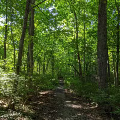 Tiffany Creek Preserve - Oyster Bay, NY