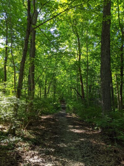 Tiffany Creek Preserve - Oyster Bay, NY