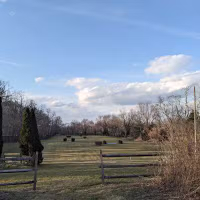 Tiffany Creek Preserve - Oyster Bay, NY
