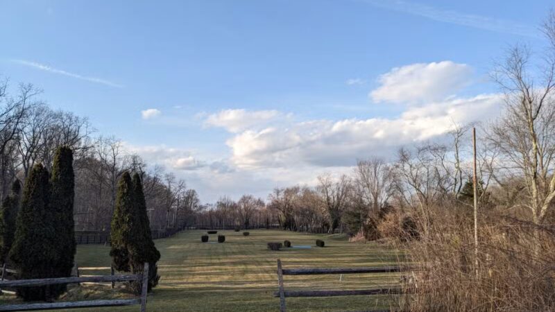 Tiffany Creek Preserve - Oyster Bay, NY