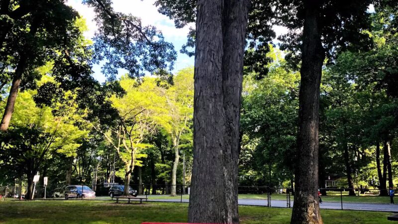 Constitution Grove Park - Paramus, NJ