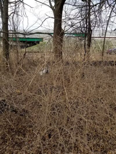 Faber Park - Paramus, NJ