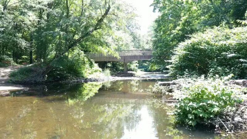 Saddle River Park - Dunkerhook Area - Paramus, NJ