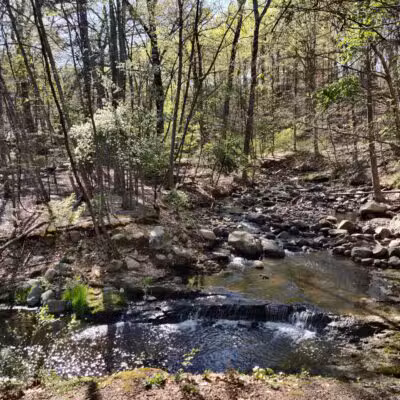 Kayma Parki - Park Ridge, NJ