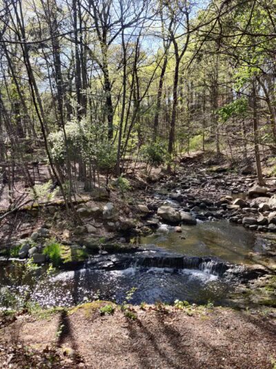 Kayma Parki - Park Ridge, NJ