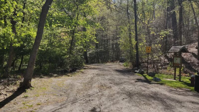 Kayma Parki - Park Ridge, NJ