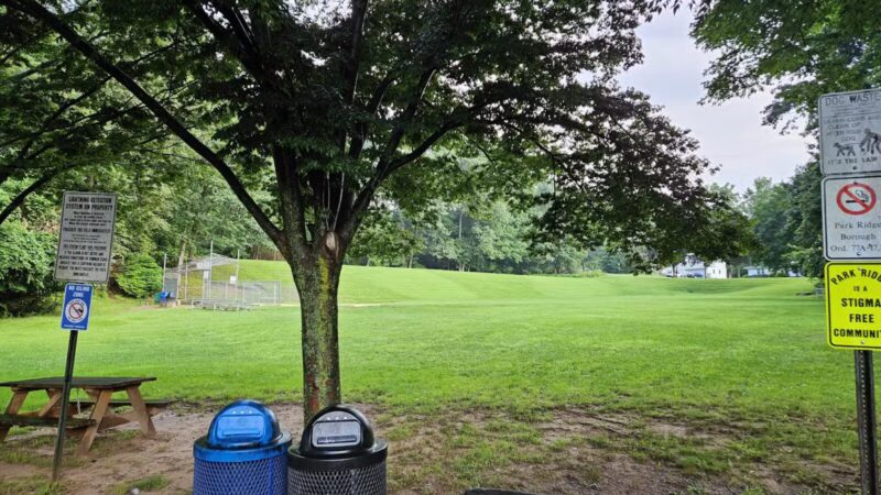 Kayma Parki - Park Ridge, NJ