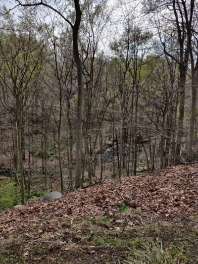 Kayma Parki - Park Ridge, NJ