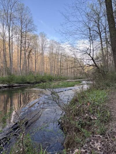 Gunpowder : Bunker Hill And Mingo Fork Loop - Parkton, MD