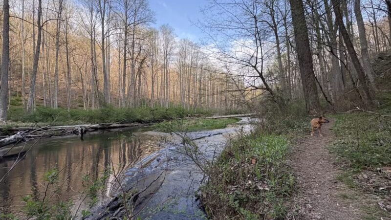 Gunpowder : Bunker Hill And Mingo Fork Loop - Parkton, MD