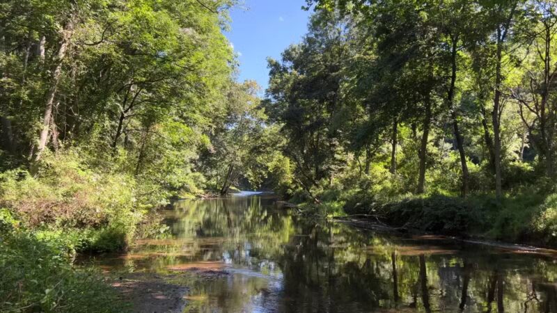 Gunpowder : Bunker Hill And Mingo Fork Loop - Parkton, MD