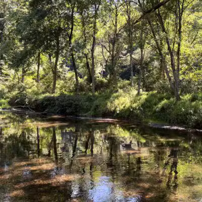 Gunpowder : Bunker Hill And Mingo Fork Loop - Parkton, MD