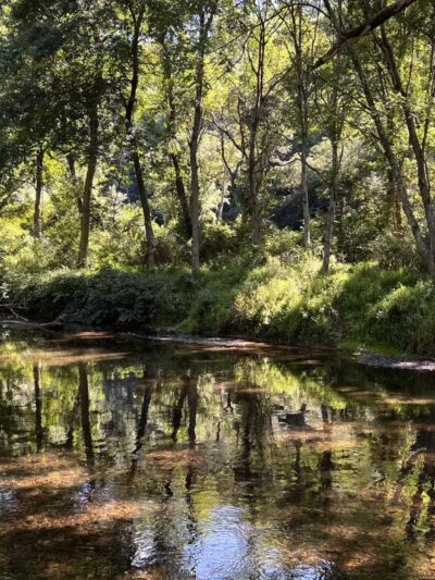 Gunpowder : Bunker Hill And Mingo Fork Loop - Parkton, MD