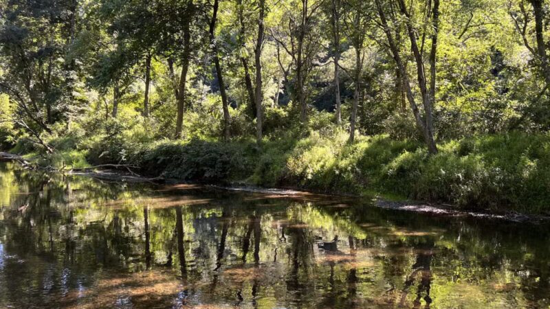 Gunpowder : Bunker Hill And Mingo Fork Loop - Parkton, MD
