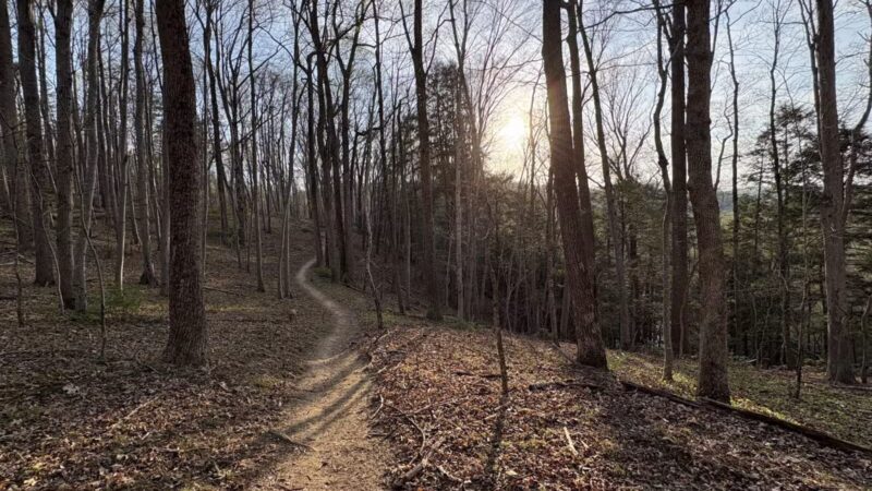 Gunpowder : Bunker Hill And Mingo Fork Loop - Parkton, MD