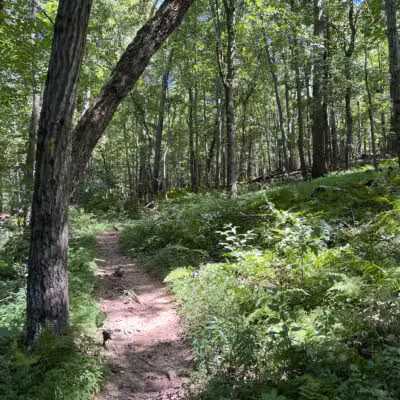 Gunpowder : Bunker Hill And Mingo Fork Loop - Parkton, MD
