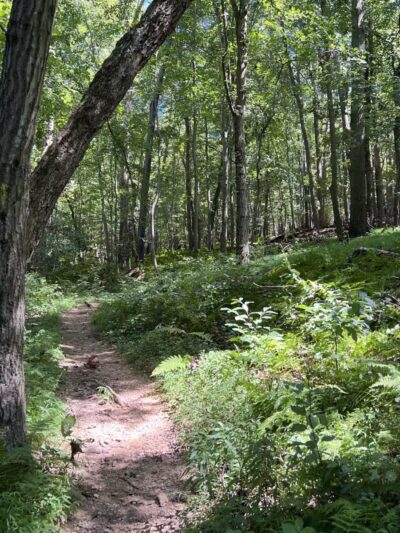 Gunpowder : Bunker Hill And Mingo Fork Loop - Parkton, MD