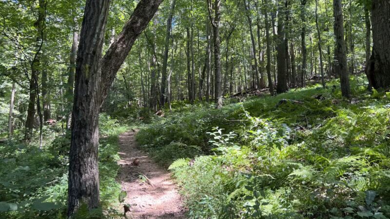 Gunpowder : Bunker Hill And Mingo Fork Loop - Parkton, MD