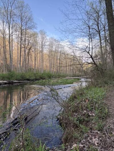 Gunpowder : Bunker Hill And Mingo Fork Loop - Parkton, MD