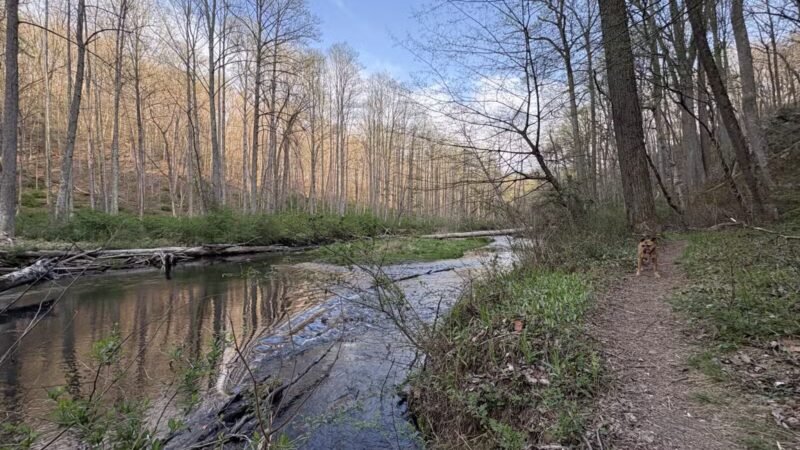 Gunpowder : Bunker Hill And Mingo Fork Loop - Parkton, MD