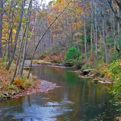 Gunpowder Falls State Park Hereford Area - Parkton, MD