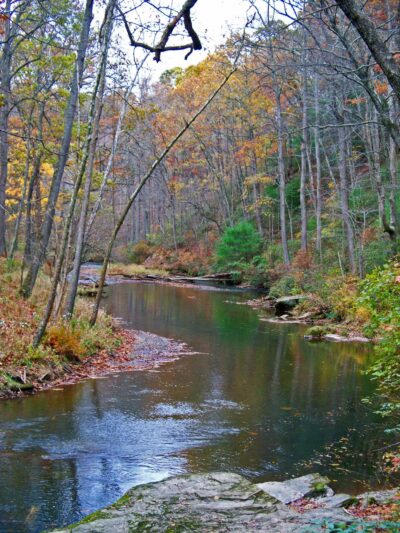 Gunpowder Falls State Park Hereford Area - Parkton, MD