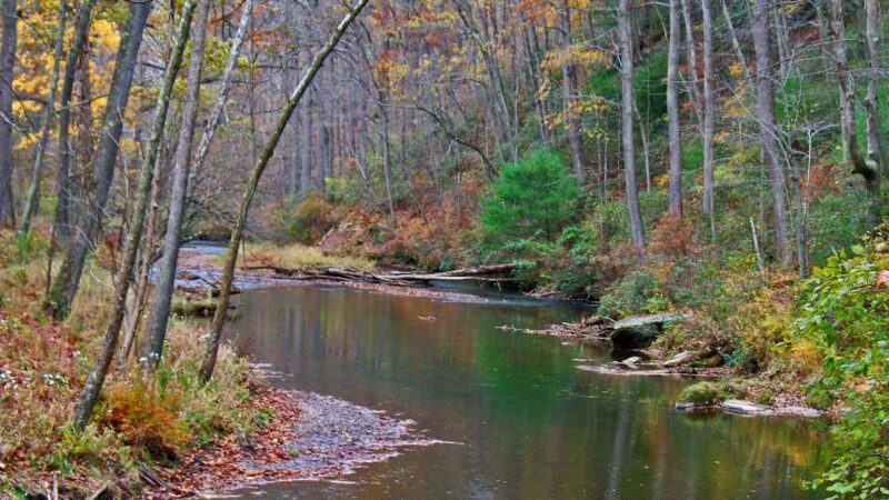 Gunpowder Falls State Park Hereford Area - Parkton, MD