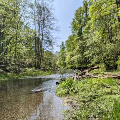 Gunpowder Falls State Park Hereford Area - Parkton, MD