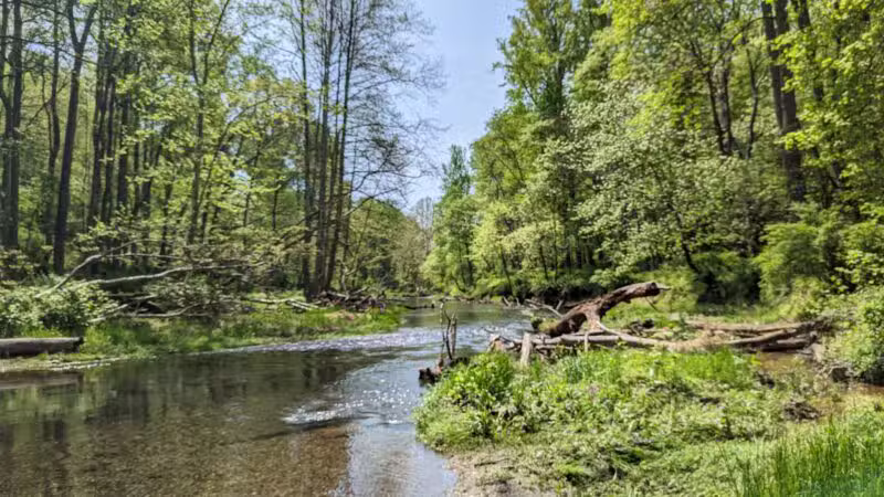 Gunpowder Falls State Park Hereford Area - Parkton, MD