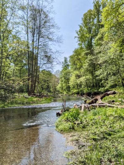 Gunpowder Falls State Park Hereford Area - Parkton, MD
