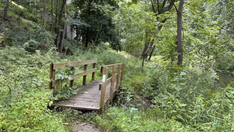 Gunpowder Falls State Park Hereford Area - Parkton, MD