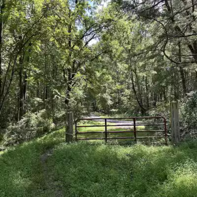 Gunpowder Falls State Park Hereford Area - Parkton, MD