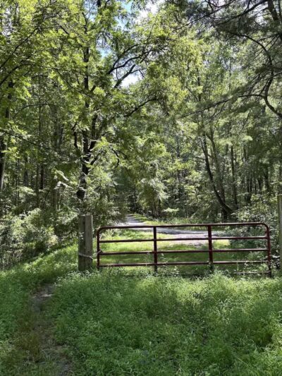 Gunpowder Falls State Park Hereford Area - Parkton, MD