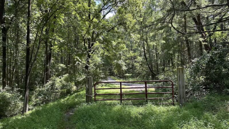 Gunpowder Falls State Park Hereford Area - Parkton, MD