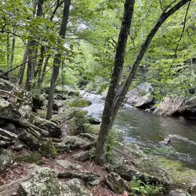 Gunpowder Falls Trailhead - Parkton, MD
