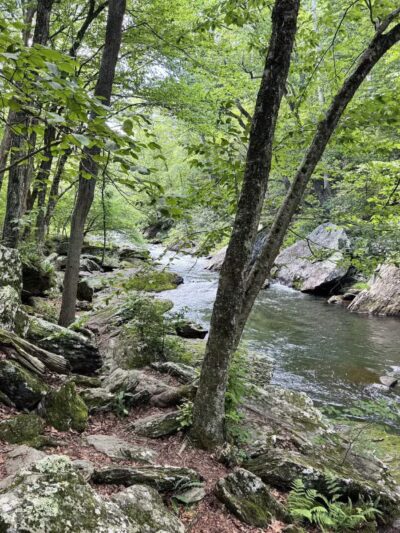 Gunpowder Falls Trailhead - Parkton, MD