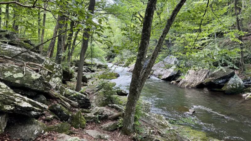 Gunpowder Falls Trailhead - Parkton, MD